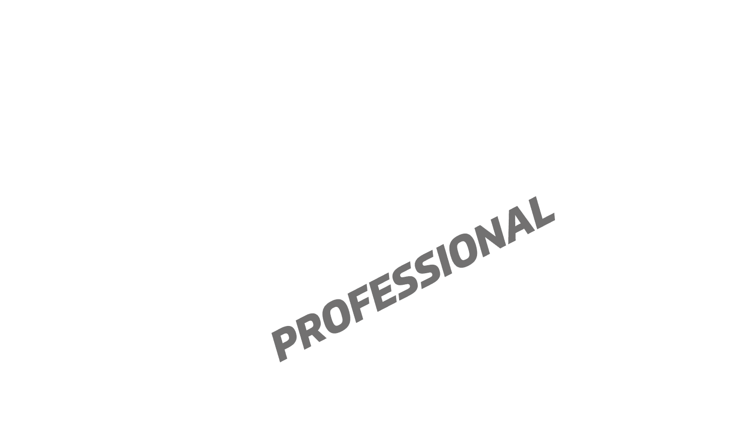 プロフェッショナル